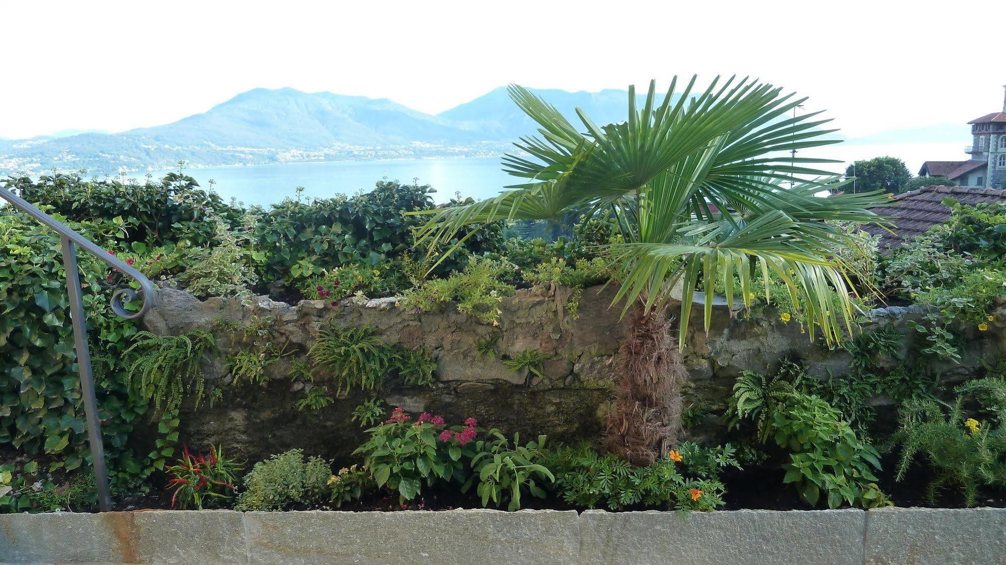 B&B Casa Forster Cannero Riviera Exterior photo